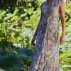 AVALINE DRESS